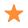 Icon Star